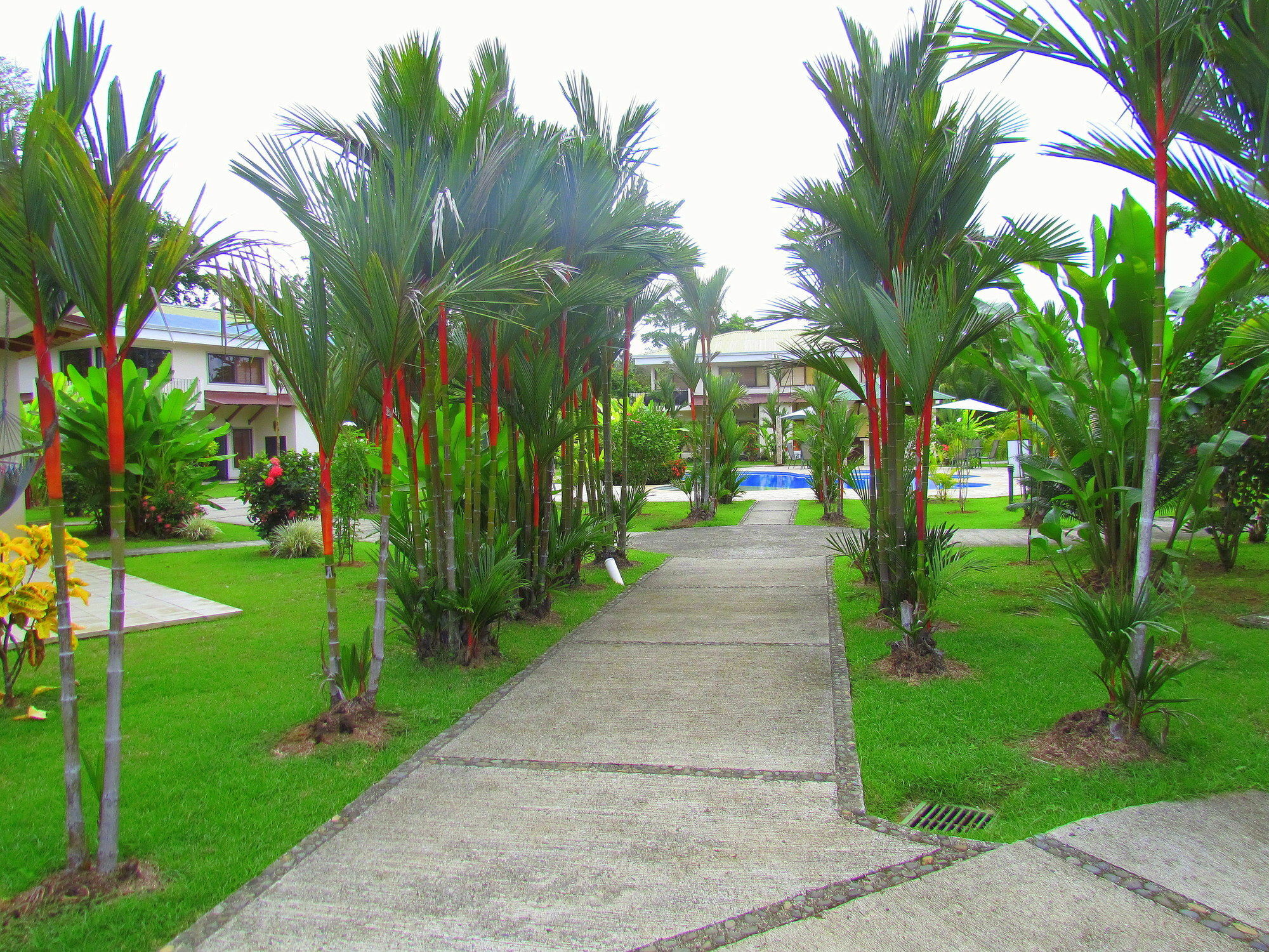Villas Hacienda Pacifica كيبوس المظهر الخارجي الصورة